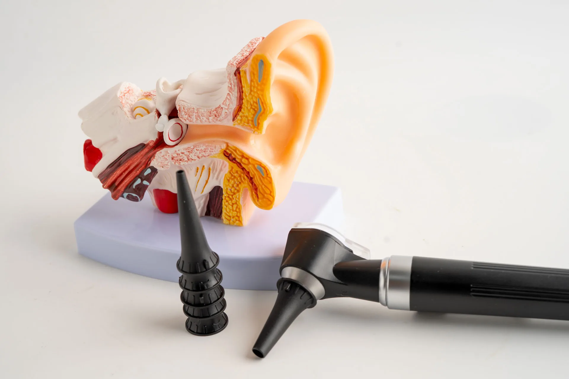 otoscope with a stack of covers next to a life-size anatomical model of the human ear and inner ear